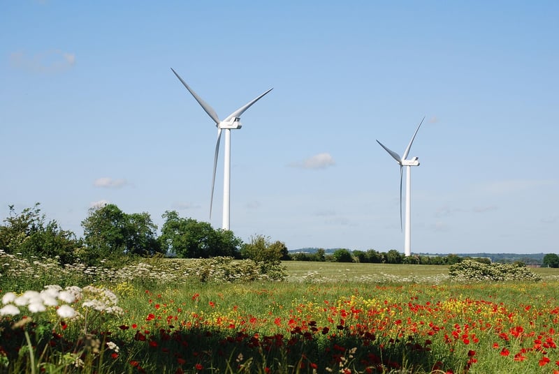 Environmentally-friendly Choices
